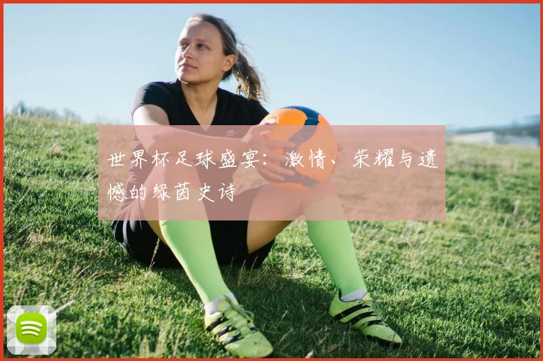 世界杯足球盛宴：激情、荣耀与遗憾的绿茵史诗