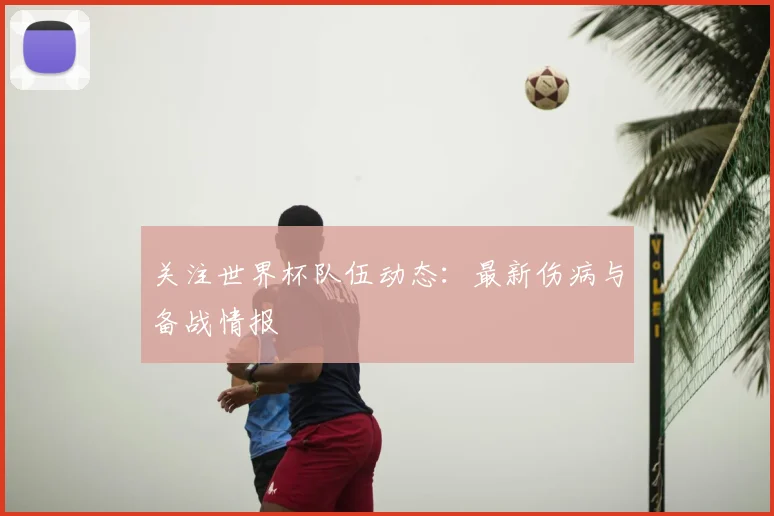 关注世界杯队伍动态：最新伤病与备战情报