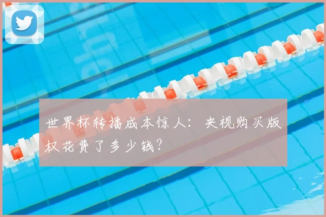 世界杯转播成本惊人:央视购买版权花费了多少钱?