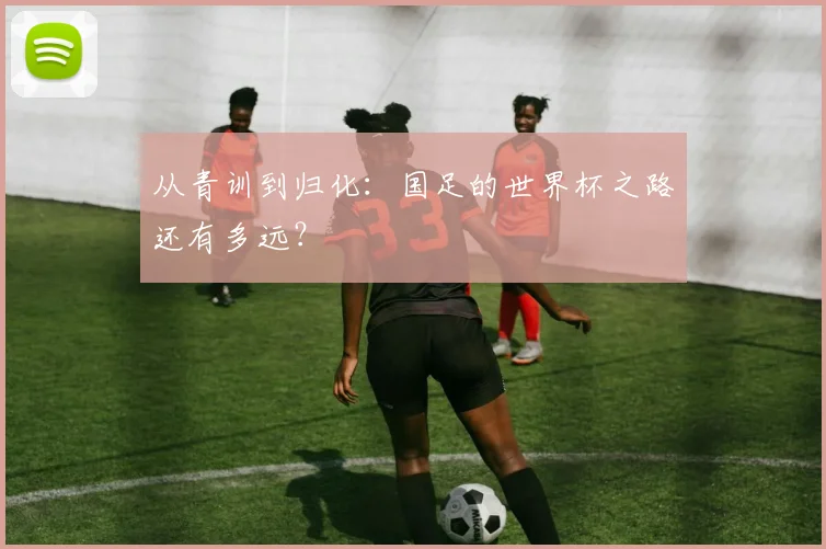 从青训到归化：国足的世界杯之路还有多远？